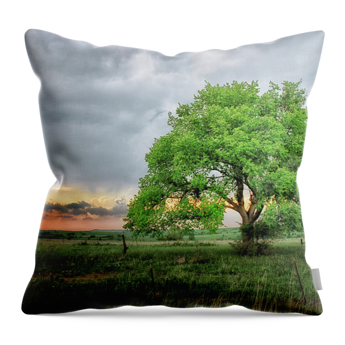 Storm Throw Pillow featuring the photograph Stormy Tree by Jolynn Reed
