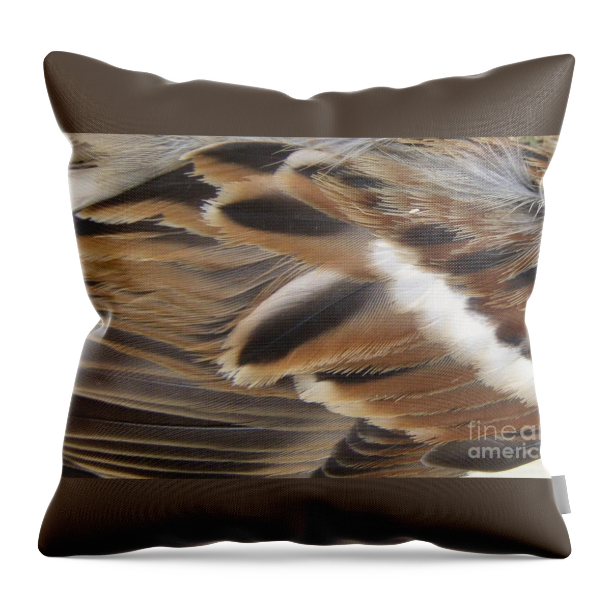 Feathers Throw Pillow featuring the photograph Birds of a feather by Kristine Nora