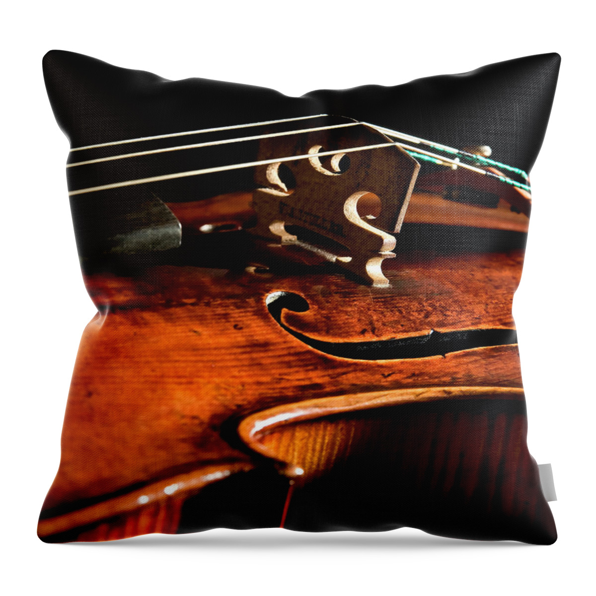 Strad Throw Pillow featuring the photograph Stradivarius by Endre Balogh