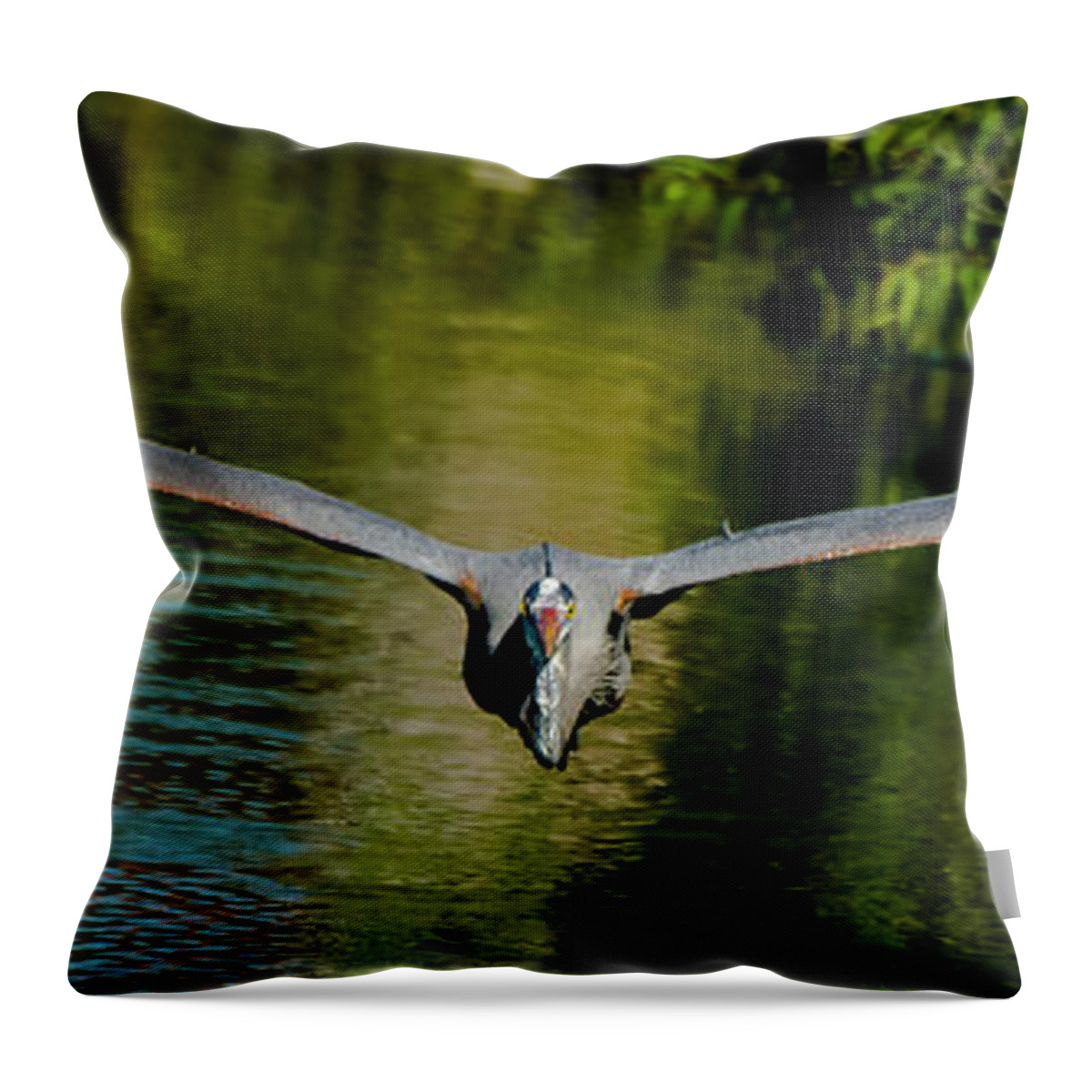 Blue Throw Pillow featuring the photograph Strait On by Quinn Sedam