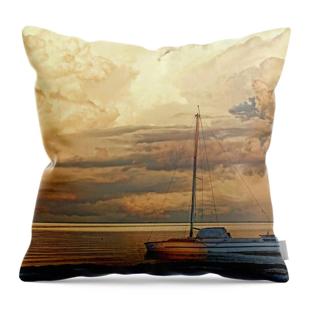 Boats Throw Pillow featuring the photograph Stranded by HH Photography of Florida