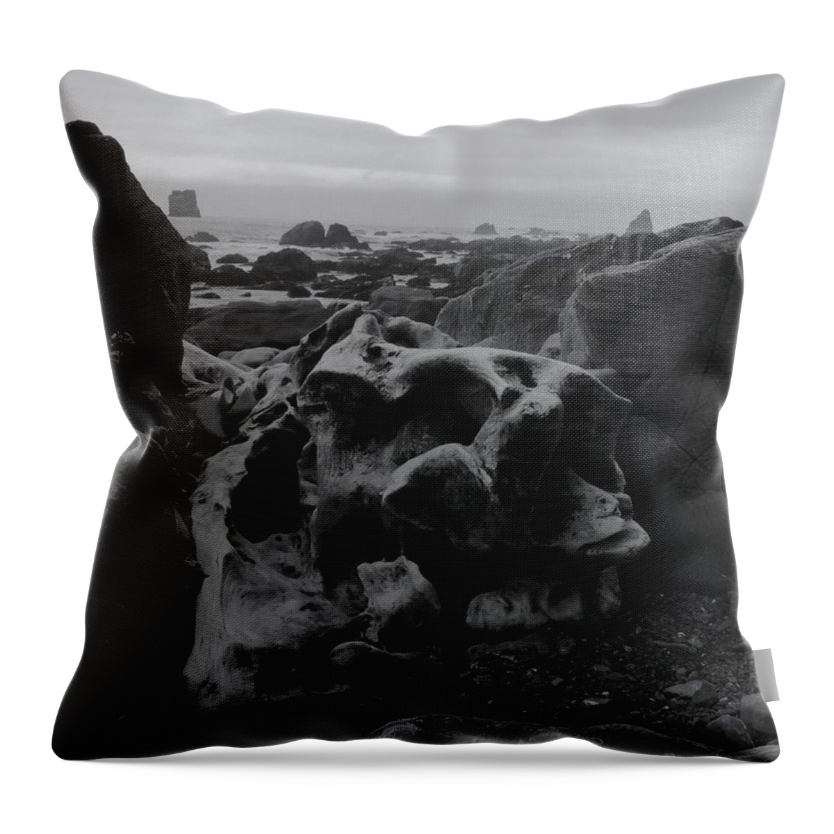 Nature Throw Pillow featuring the photograph Stranded by Vincent Green