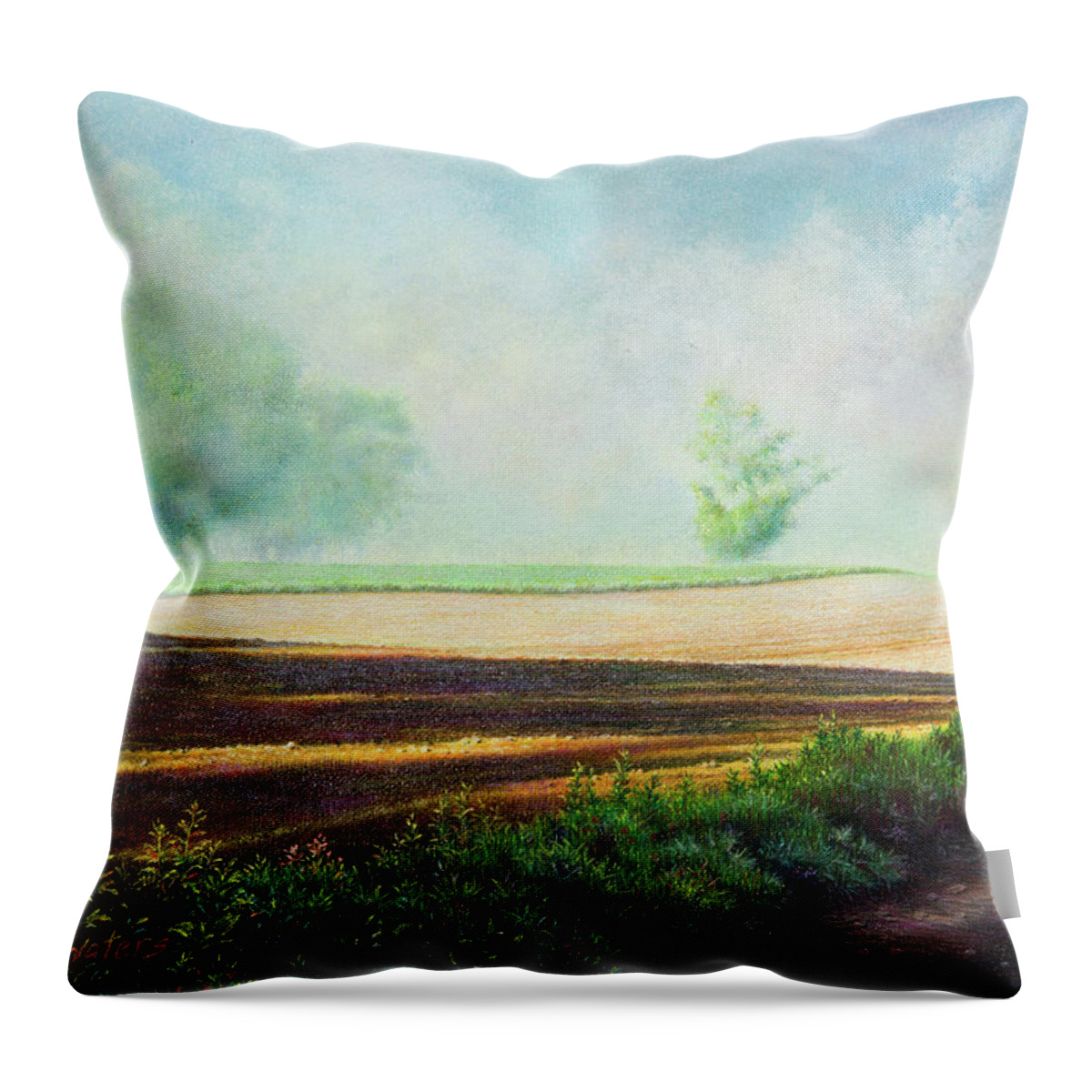 Landscape Throw Pillow featuring the mixed media Strange Encounter by Lynn Bywaters
