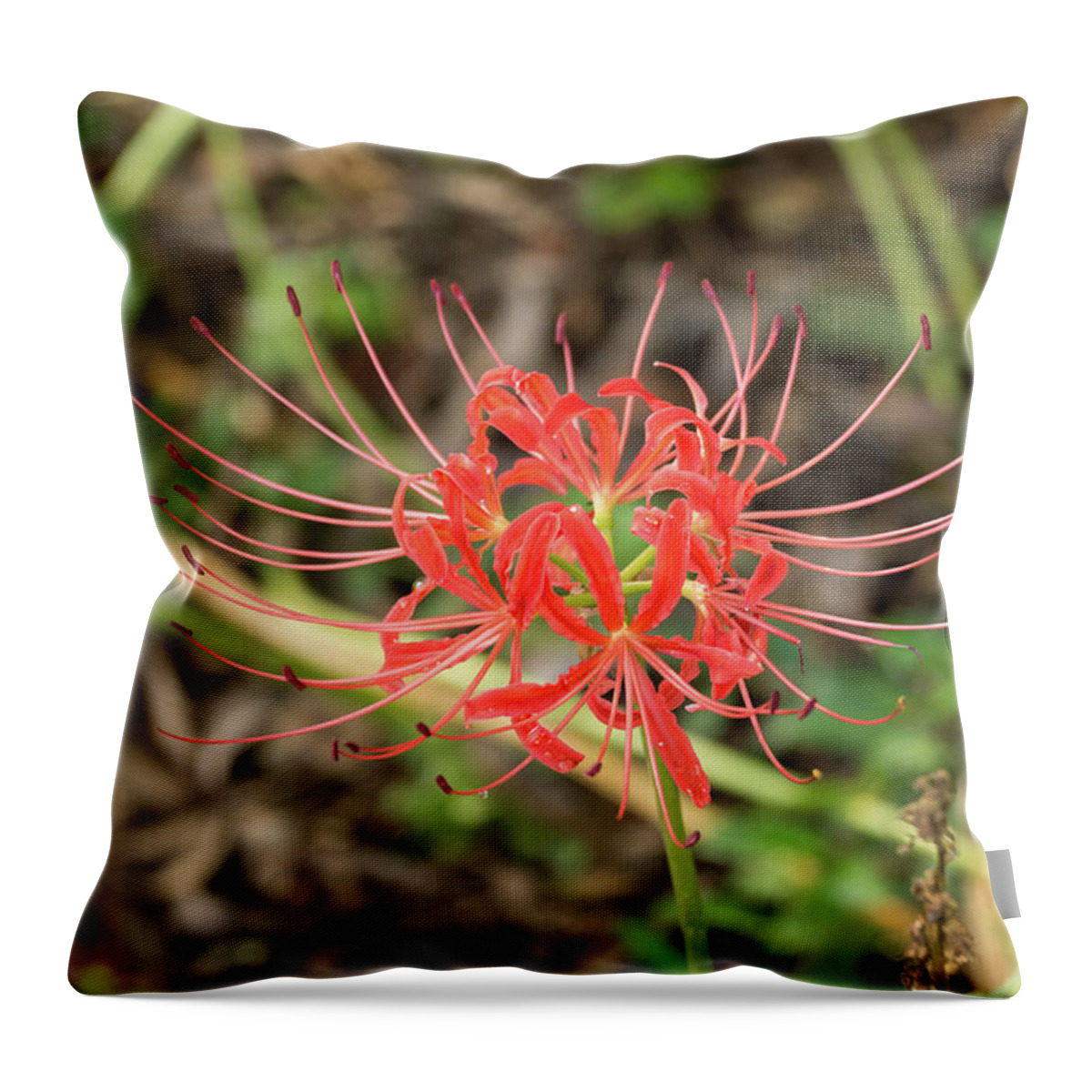 Flower Throw Pillow featuring the photograph Strange Flower by John Benedict