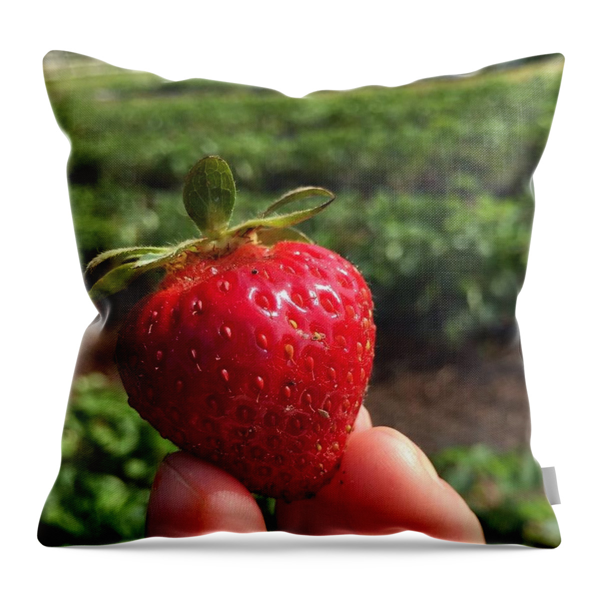 Strawberry Throw Pillow featuring the photograph Strawberry by Jessica Cistrelli