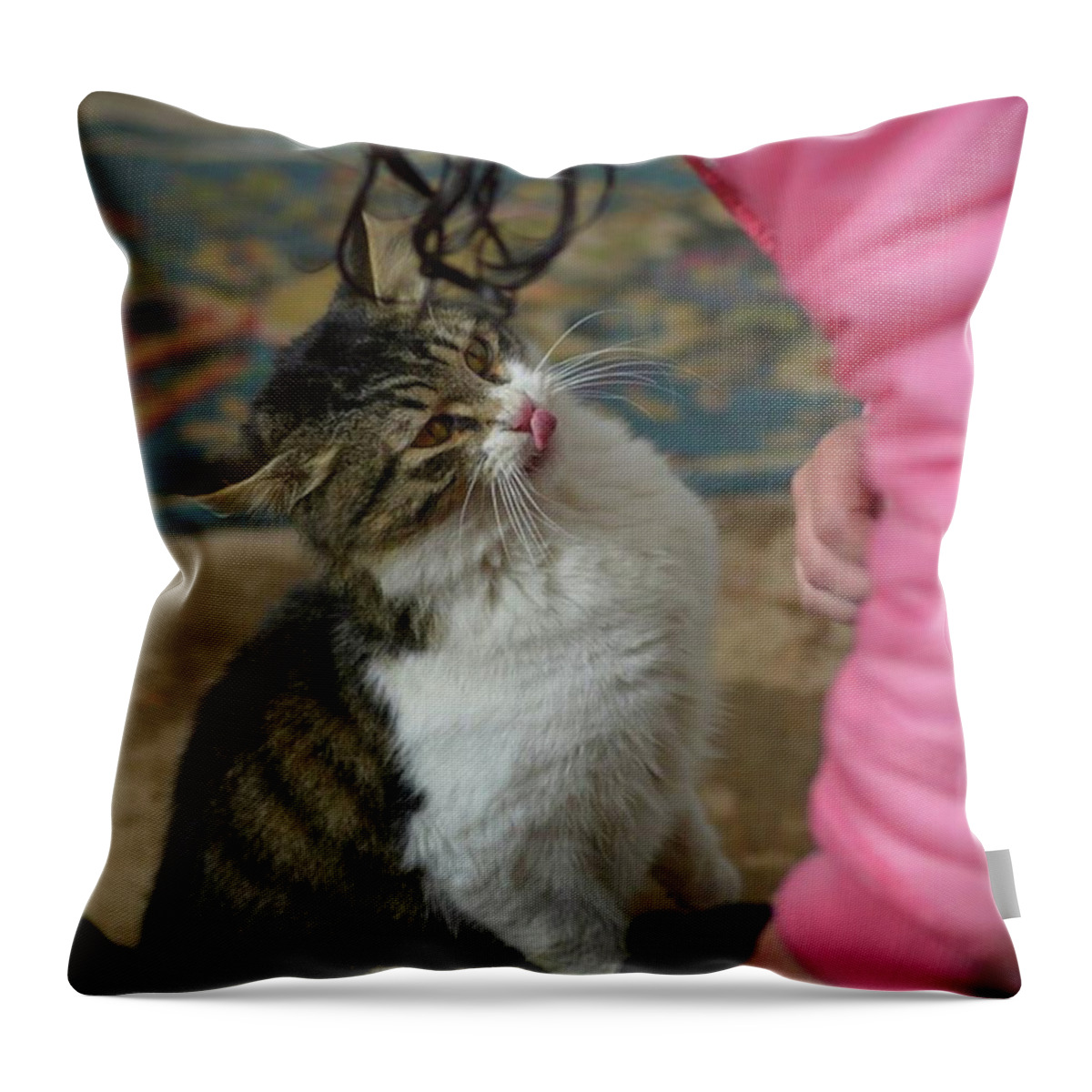Cat Throw Pillow featuring the photograph Stray Cat by Awni H