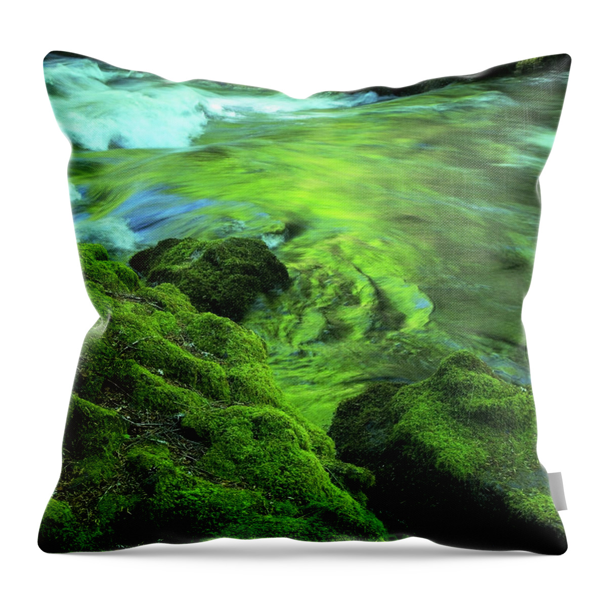 Green Throw Pillow featuring the photograph Stream above Whitehorse falls by Teri Schuster