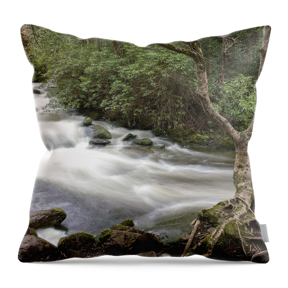 Original Throw Pillow featuring the photograph Stream below Torc Waterfall Killarney National Park by WAZgriffin Digital