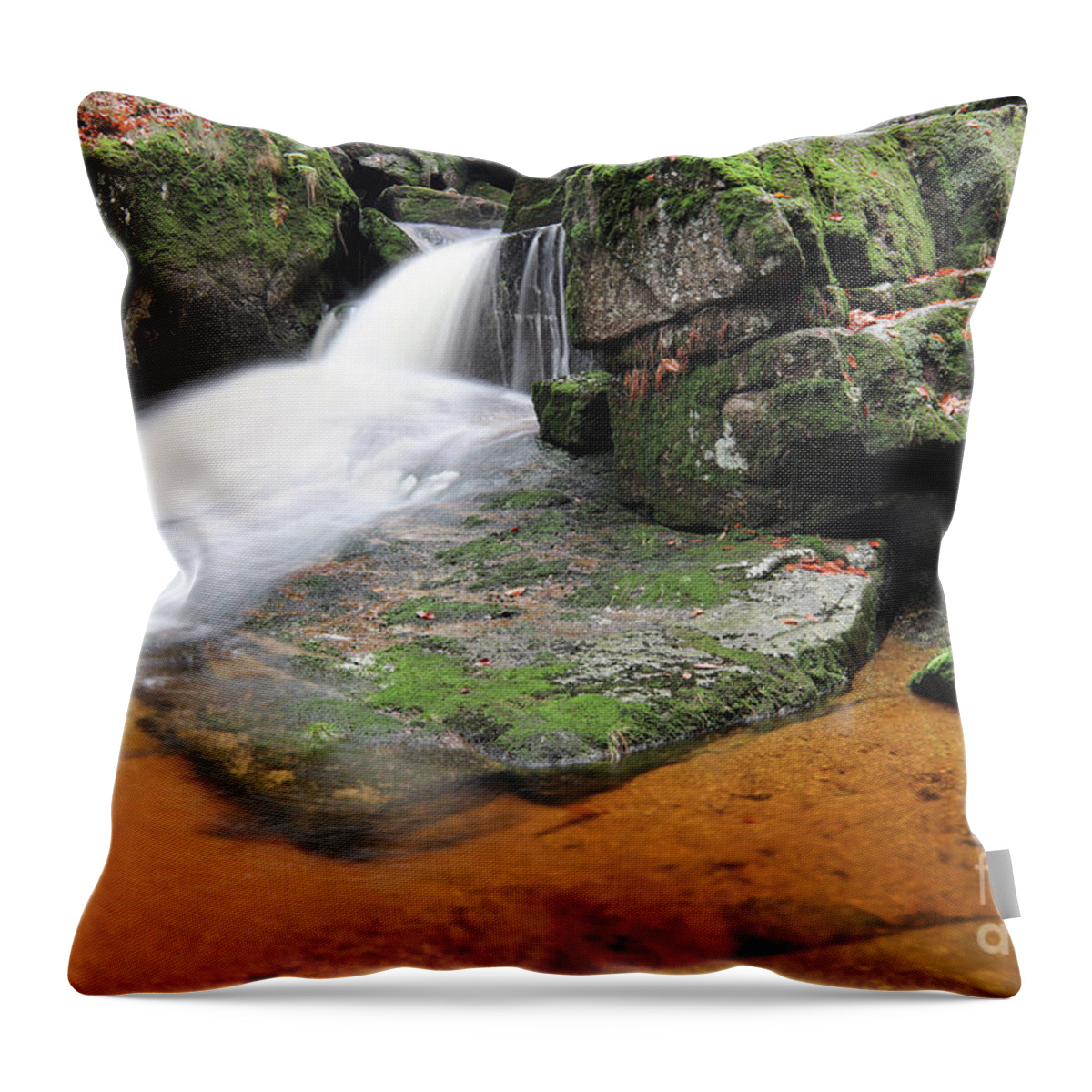 Stream Throw Pillow featuring the photograph Stream in the autumn forest by Michal Boubin