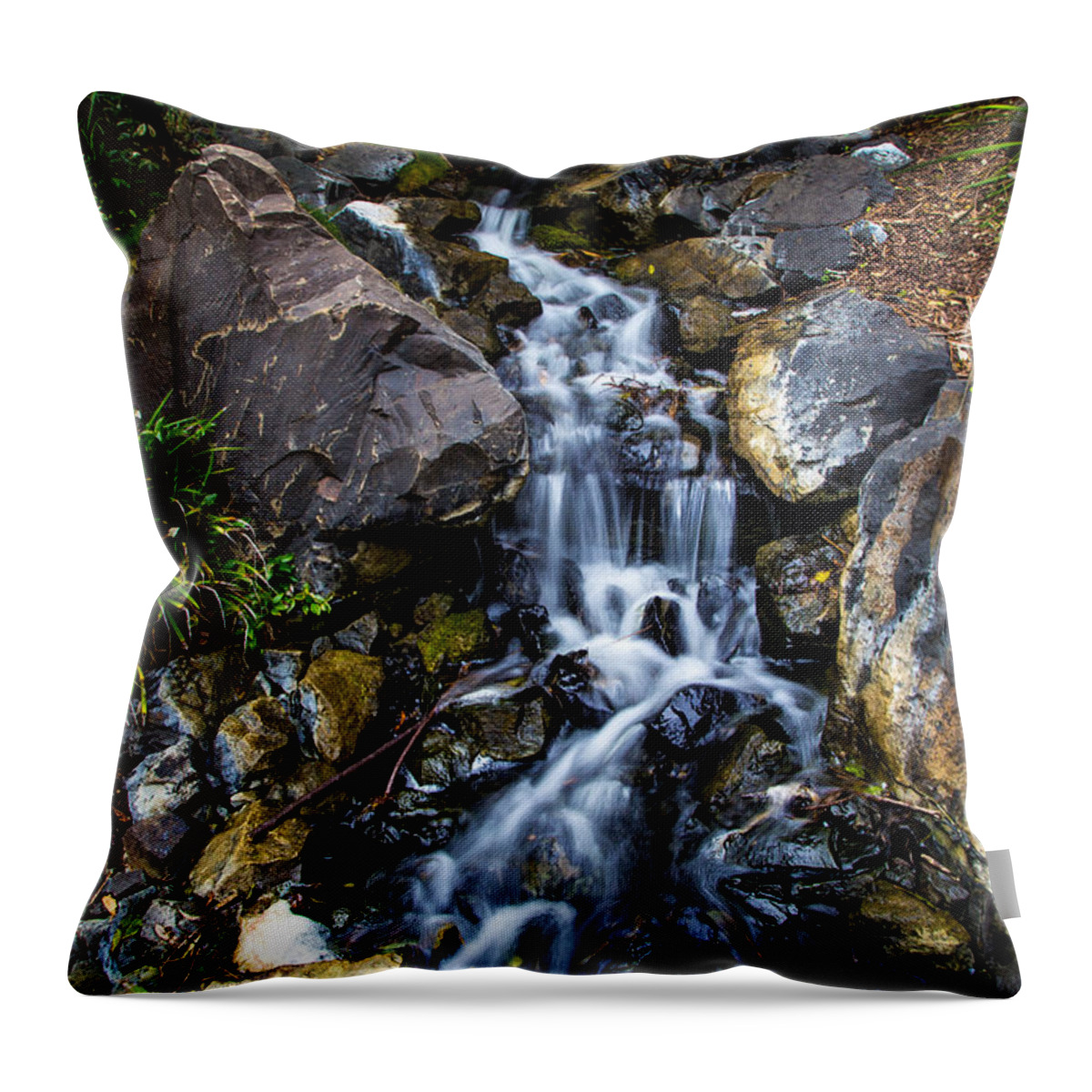 Water Throw Pillow featuring the photograph Stream by Keith Hawley