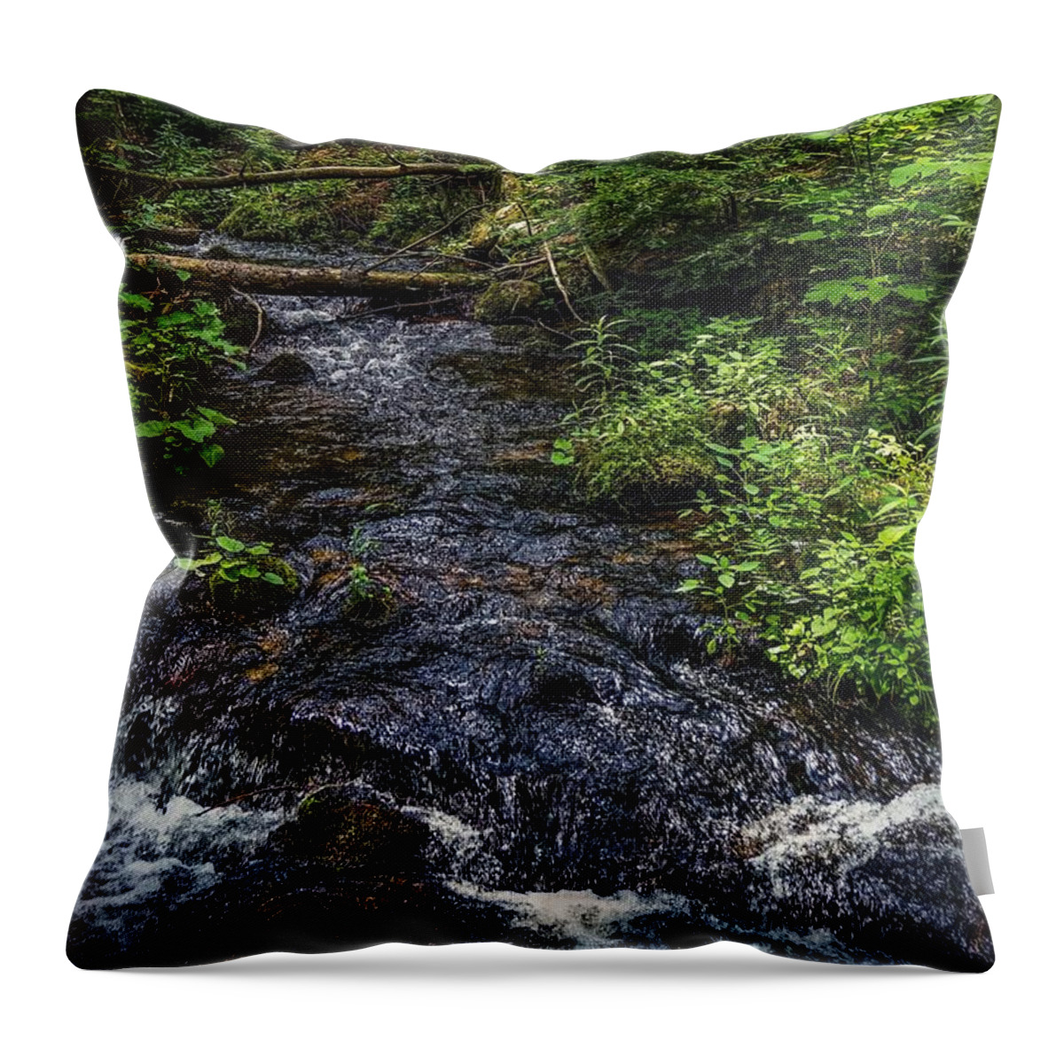  Throw Pillow featuring the photograph Streaming by Kendall McKernon