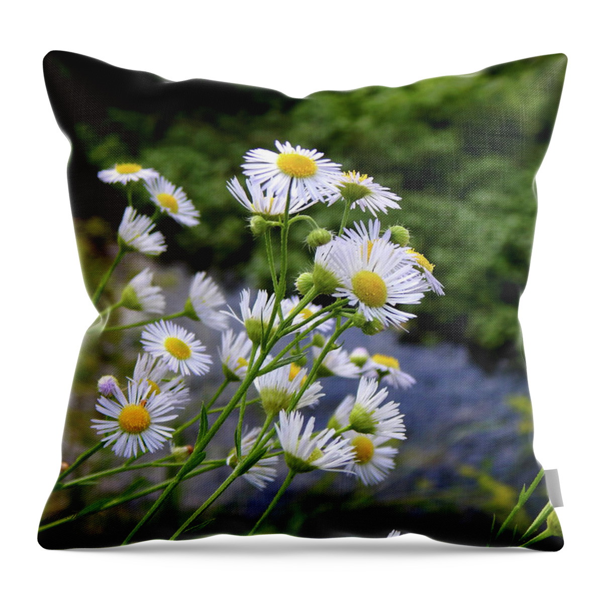 Summer Throw Pillow featuring the photograph Streaming by Wild Thing