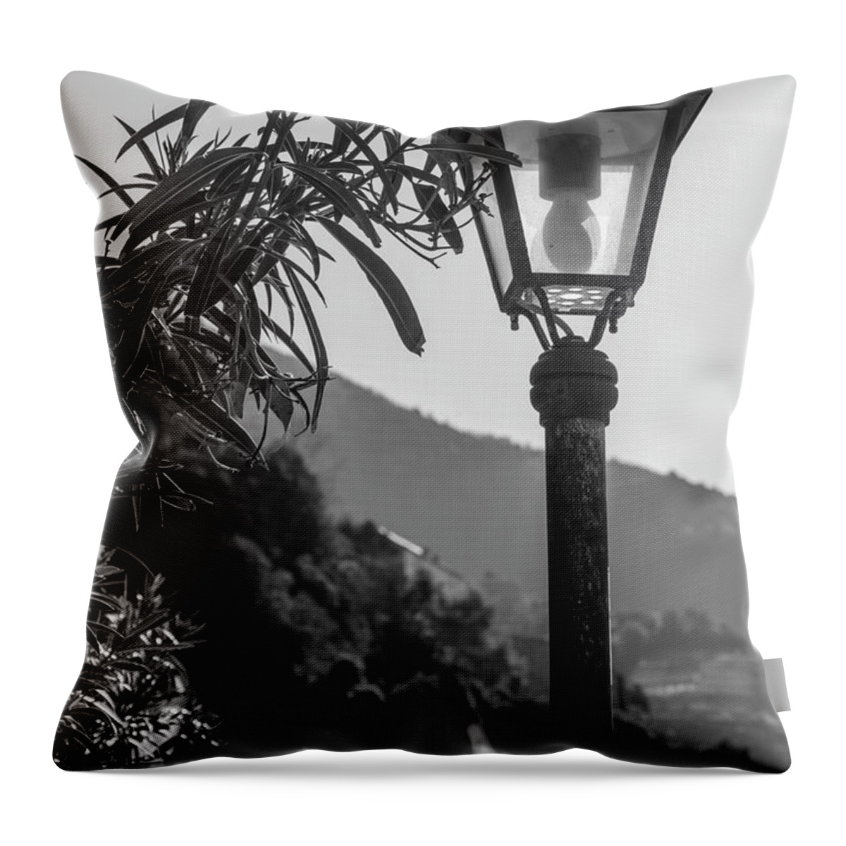 Cinque Terre Throw Pillow featuring the photograph Street Light in Cinque Terre by John McGraw