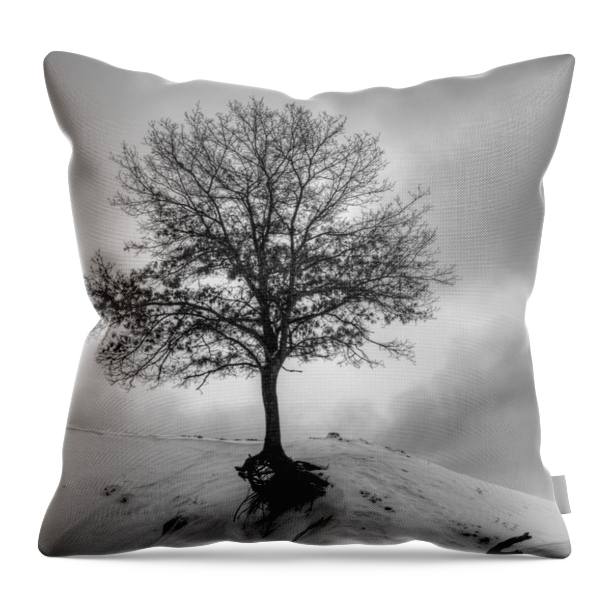 Tree Throw Pillow featuring the photograph Strength and Hope 2011 by Thomas Young
