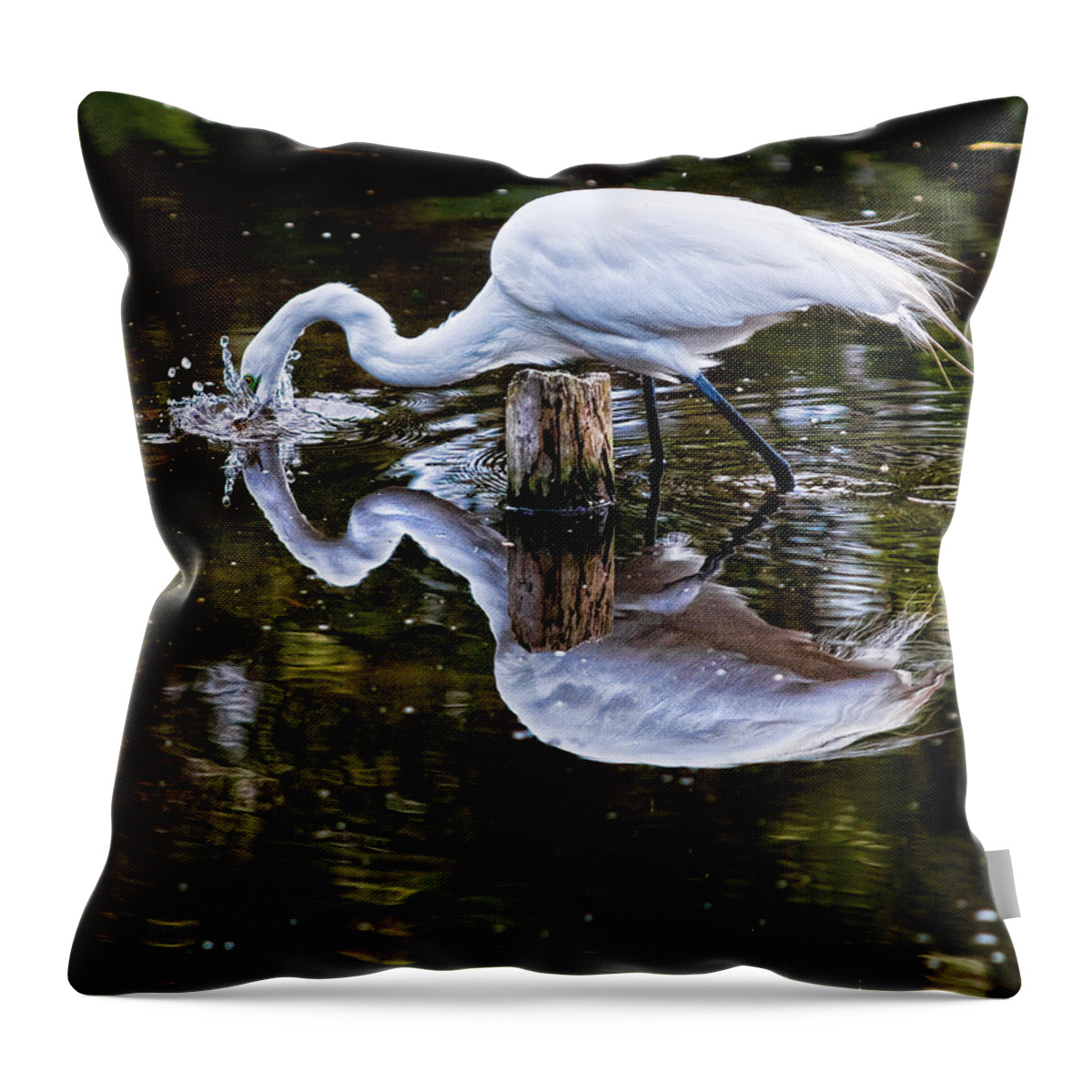 Art Throw Pillow featuring the photograph Strike by Christopher Holmes