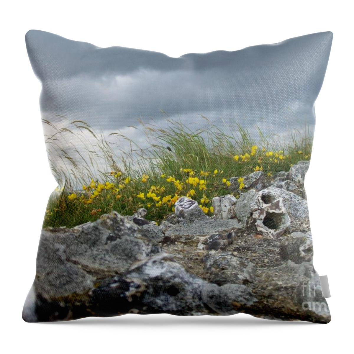 Old Throw Pillow featuring the photograph Striking Ruins by Mary Mikawoz