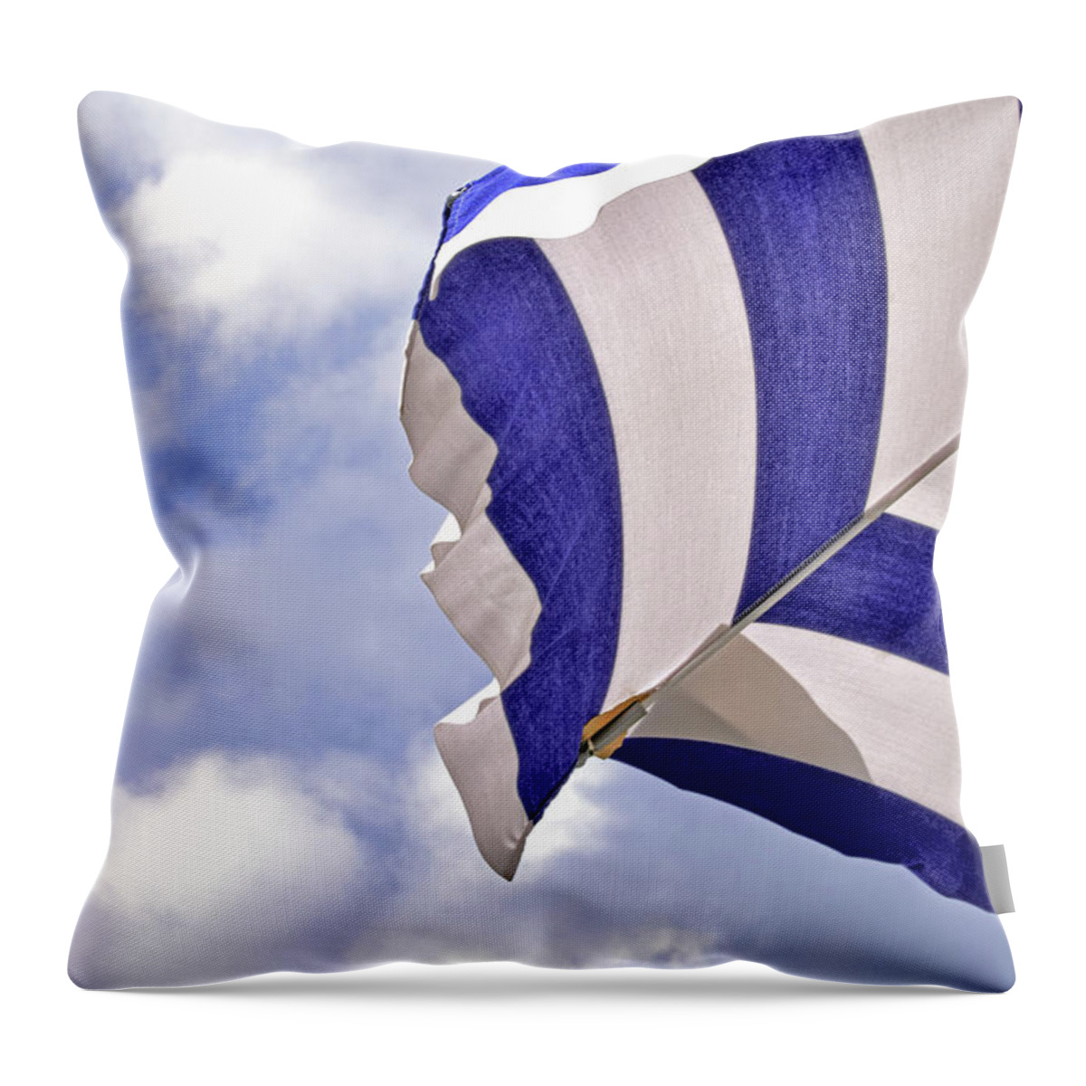 Striped Throw Pillow featuring the photograph Striped by Sandy Taylor