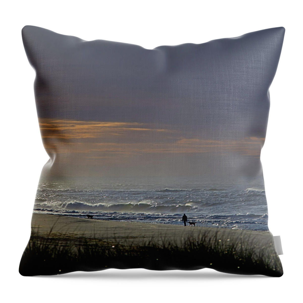  Throw Pillow featuring the photograph Stroll I I I by Newwwman