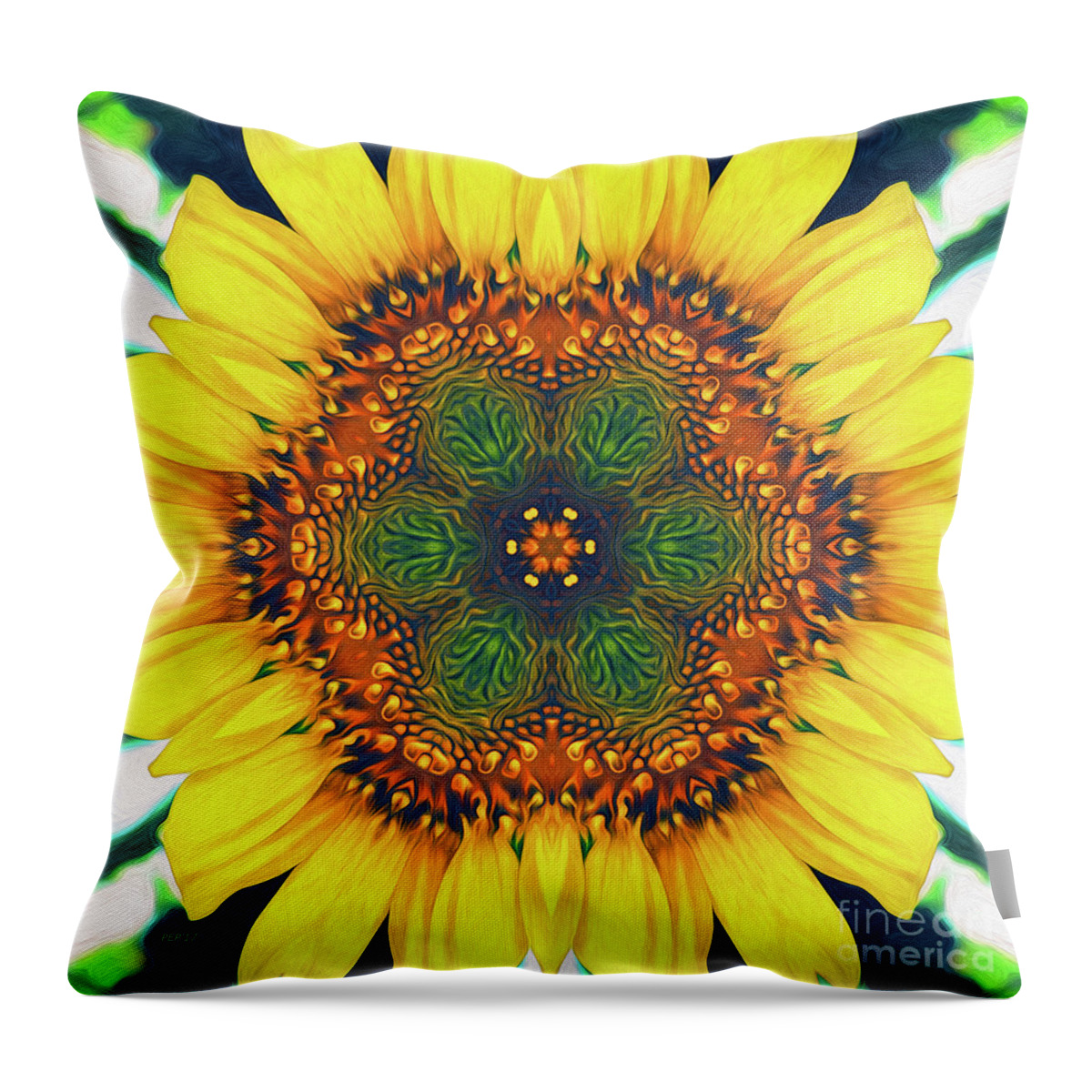 Sunflower Throw Pillow featuring the digital art Structure of A Sunflower by Phil Perkins