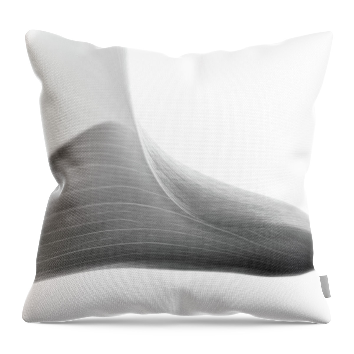 Cala Throw Pillow featuring the photograph Structure by Rebecca Cozart