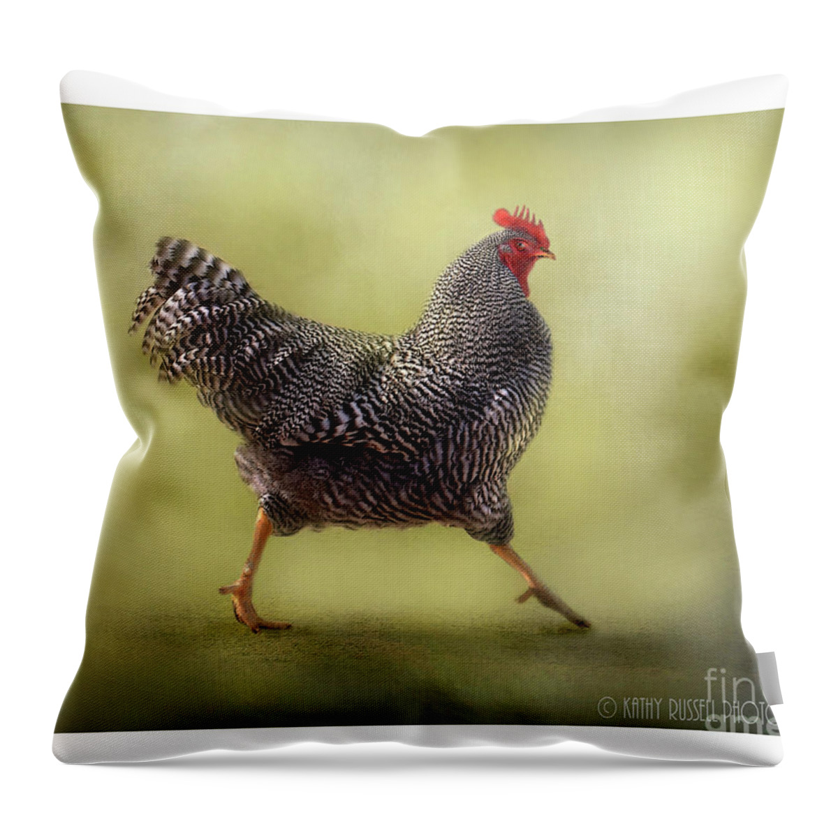 Rooster Throw Pillow featuring the photograph Strutting that Stuff by Kathy Russell