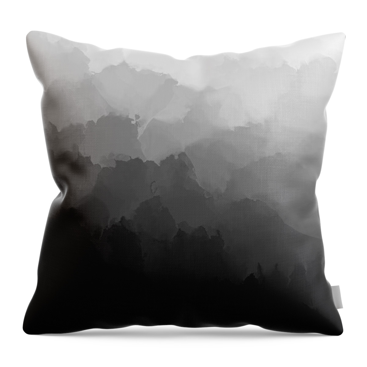 Fine Art Throw Pillow featuring the digital art Study in Black and White 110112 by David Lane