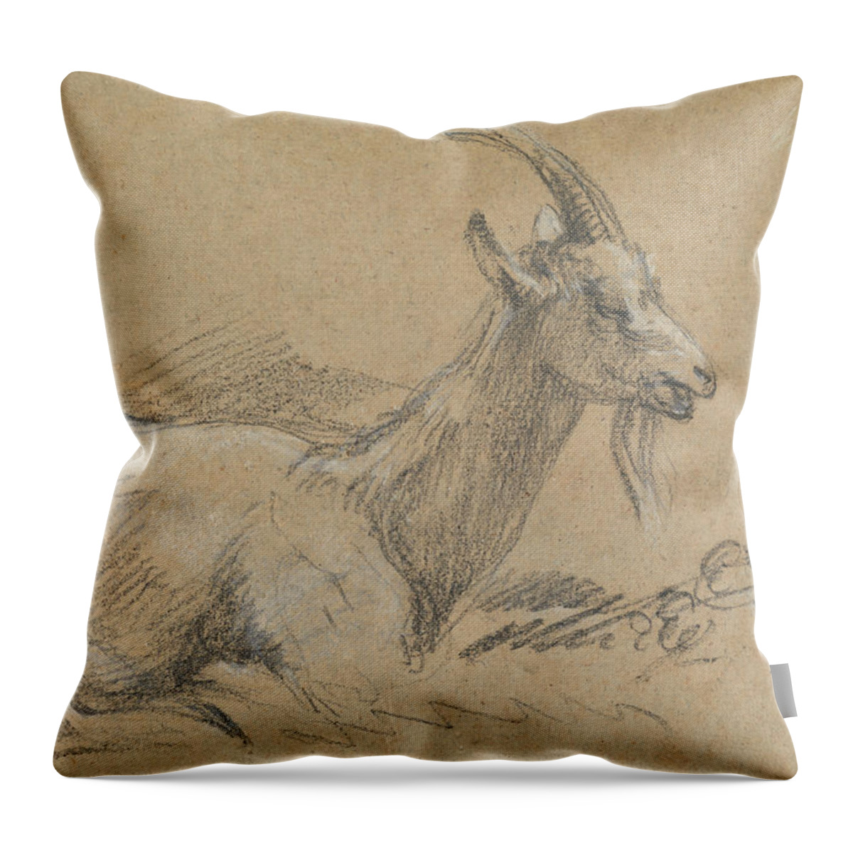 18th Century Art Throw Pillow featuring the drawing Study of a Goat by Thomas Gainsborough