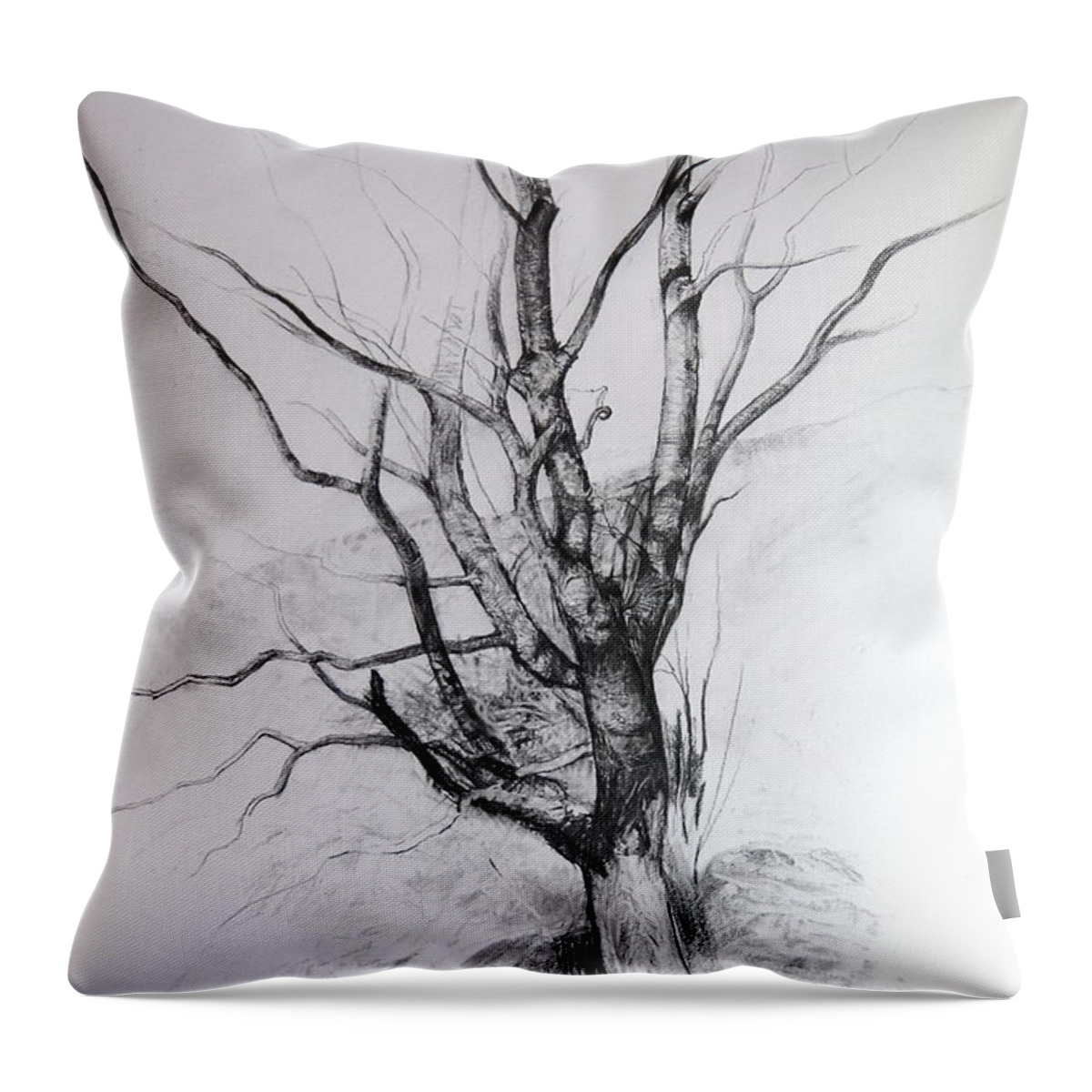 Landscape Throw Pillow featuring the drawing Study of a Tree by Harry Robertson