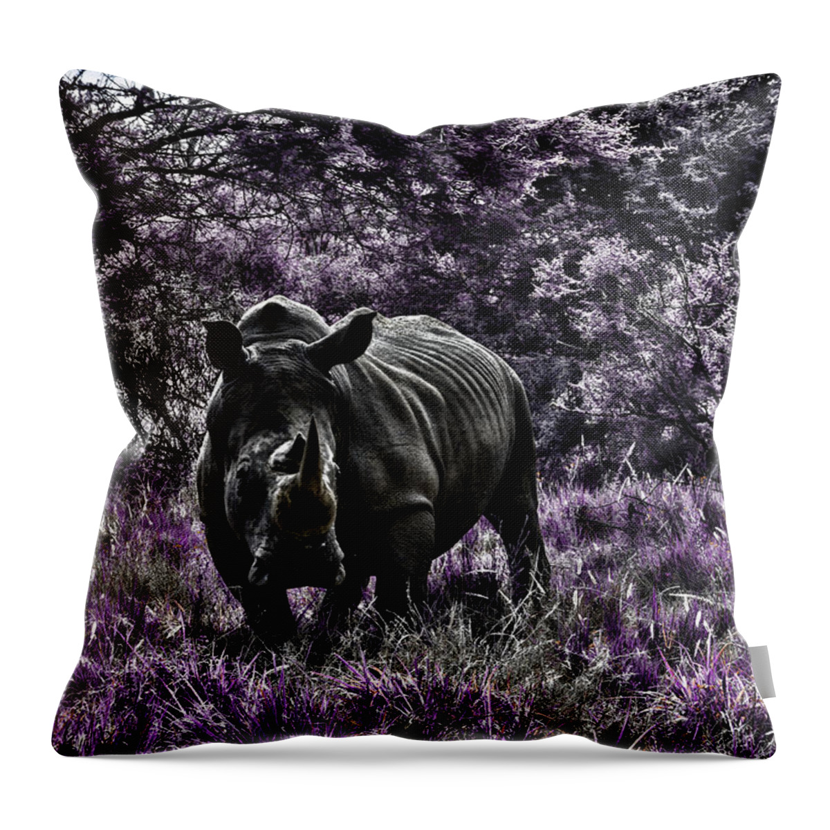 Rhino Throw Pillow featuring the photograph Styled Environment-The Modern Trendy Rhino by Douglas Barnard