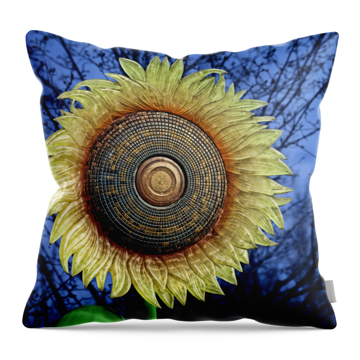 Sunflower Throw Pillow featuring the photograph Stylized Sunflower by Tom Mc Nemar