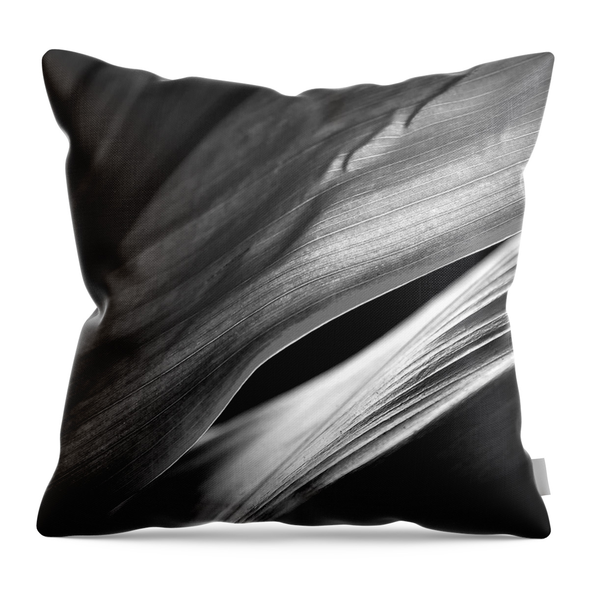 Abstract Throw Pillow featuring the photograph Sublime Light by Heidi Fickinger