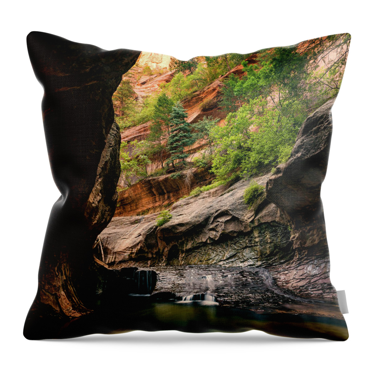 Zion Throw Pillow featuring the photograph Subway Canyon by Dave Koch