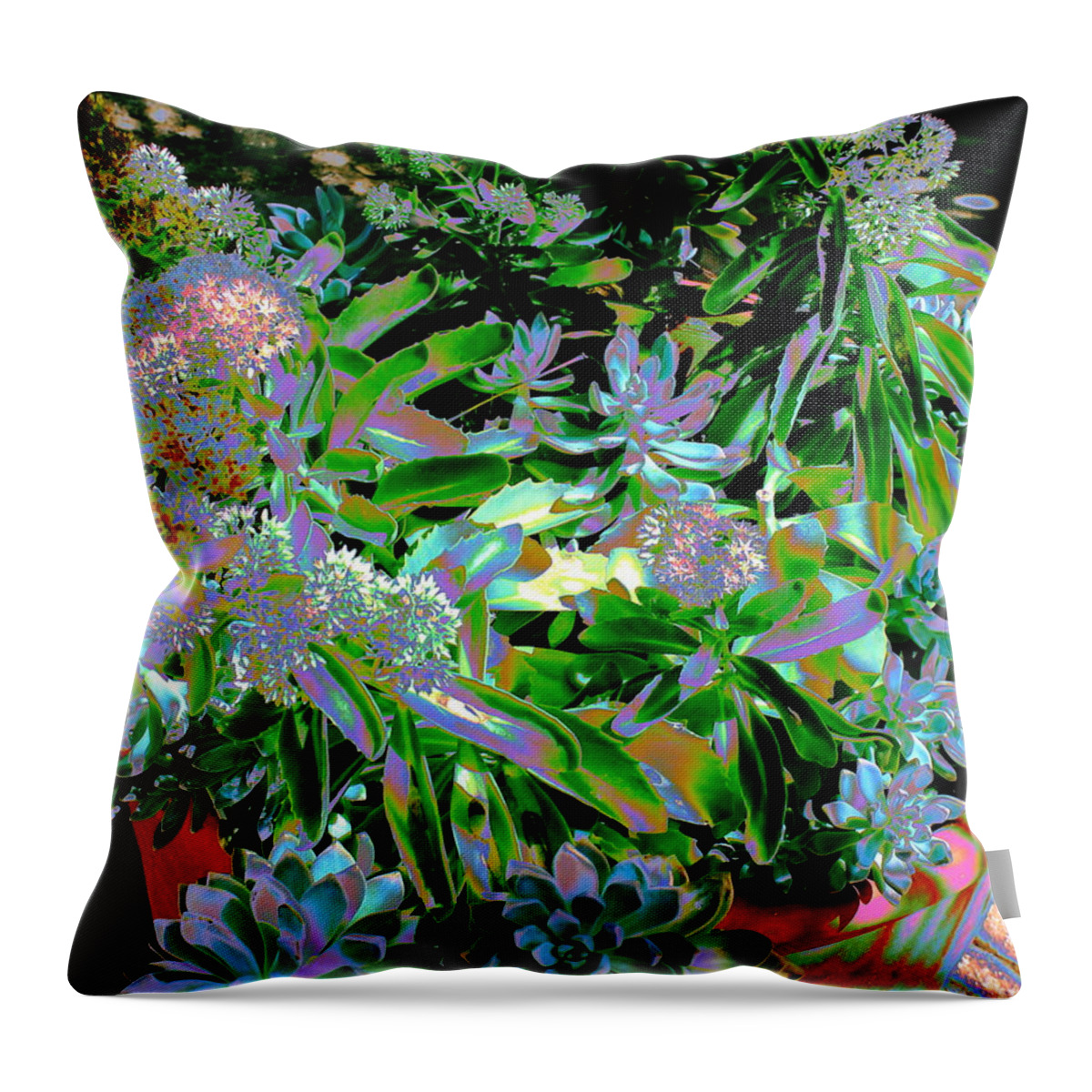 Plants Throw Pillow featuring the photograph Succulent Pot by M Diane Bonaparte