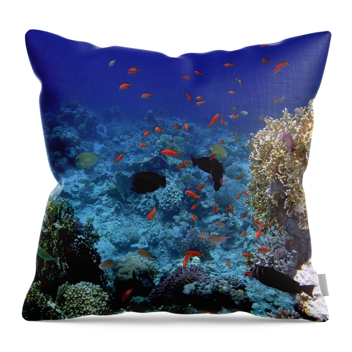 Sea Throw Pillow featuring the photograph Such A Colorful World 2 by Johanna Hurmerinta