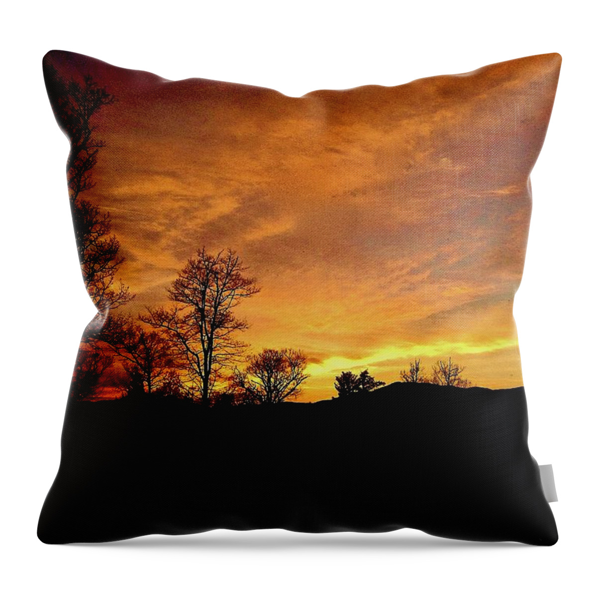 Sunset Throw Pillow featuring the photograph Suffused with Harmony by Elizabeth Tillar