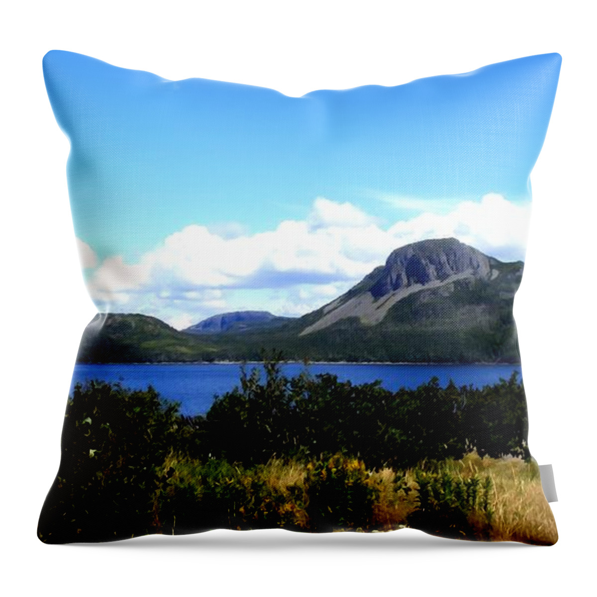 Sugarloaf Hill Brushstrokes Painting Throw Pillow featuring the photograph Sugarloaf Hill Brushstrokes Painting by Barbara A Griffin