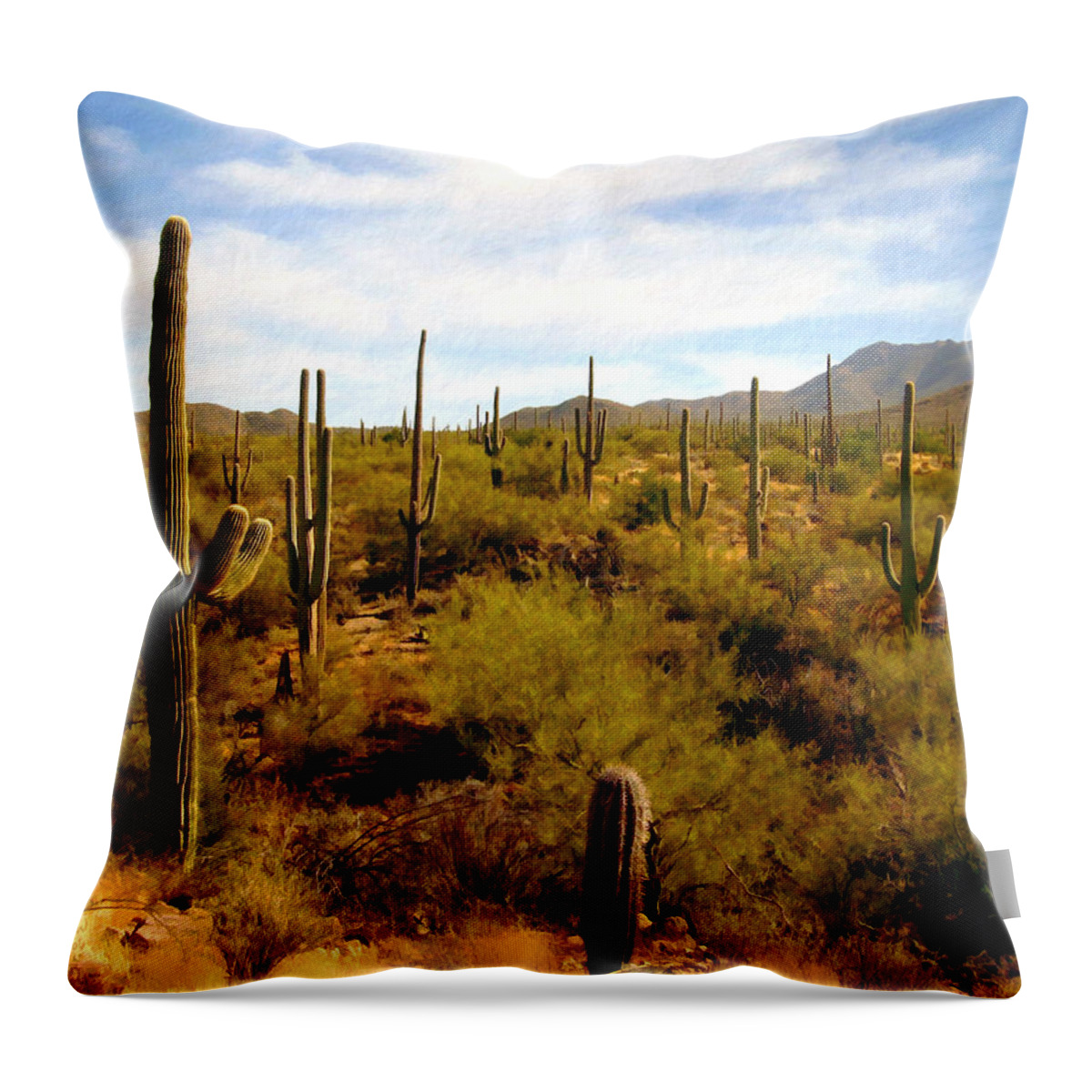 Suguaro Cactus Throw Pillow featuring the photograph Suguro National Park by Kurt Van Wagner
