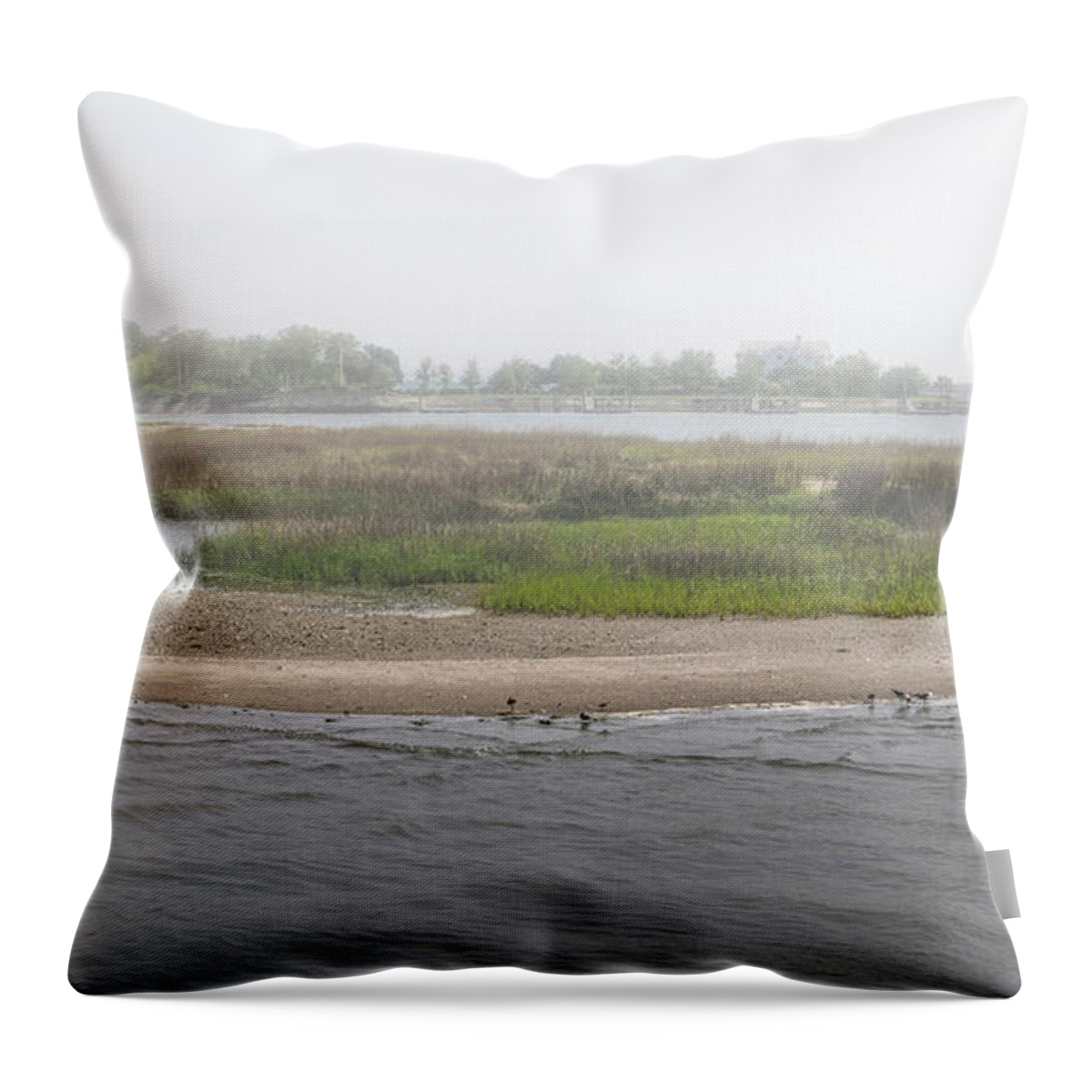 Fog Throw Pillow featuring the photograph Sullivan's Island Sleepy Southern Town by Dale Powell