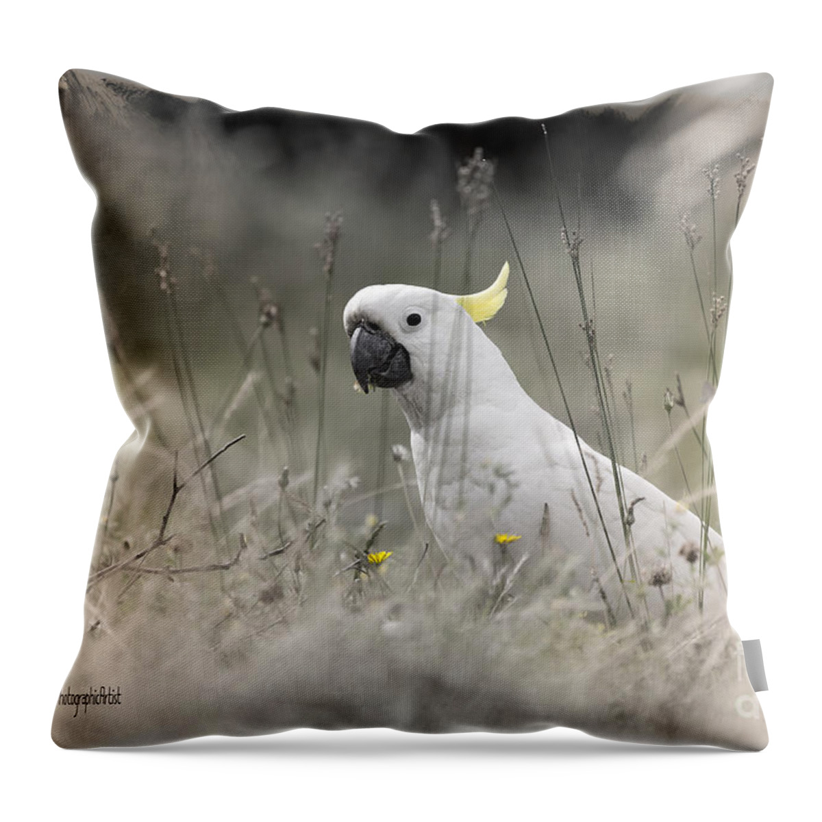 Cockatoo Throw Pillow featuring the photograph Sulphur Crested Cockatoo by Chris Armytage