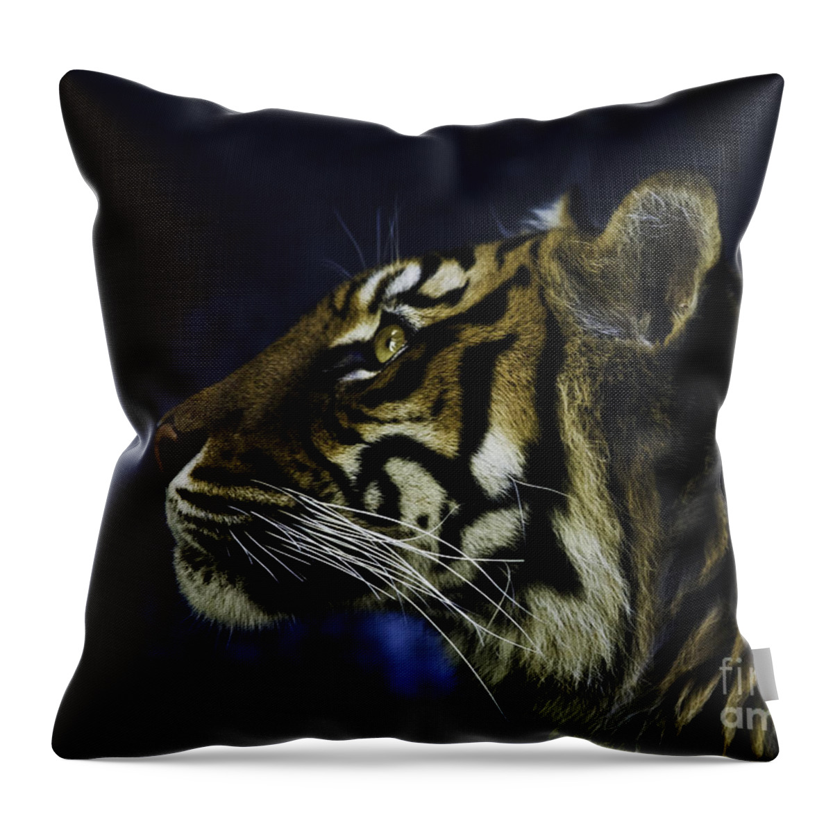 Sumatran Tiger Throw Pillow featuring the photograph Sumatran tiger profile by Sheila Smart Fine Art Photography