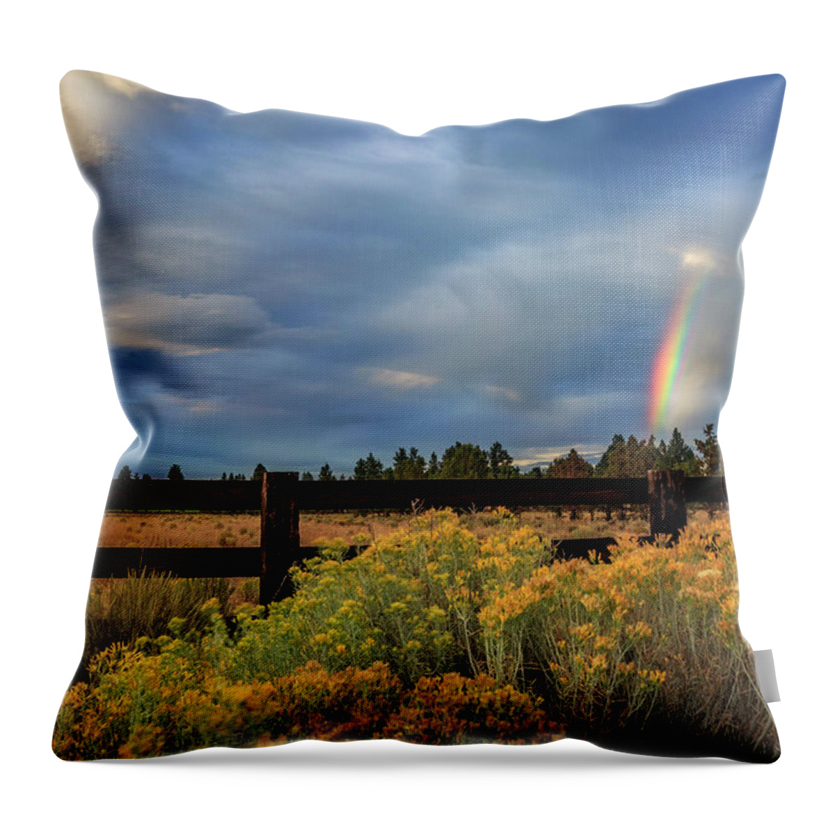 Clouds Throw Pillow featuring the photograph Summer Afternoon Rainbow by Cat Connor