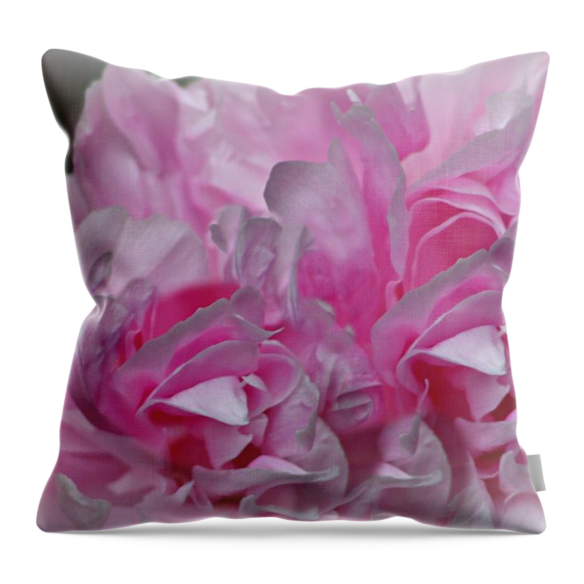 Macro Throw Pillow featuring the photograph Summer by Barbara S Nickerson