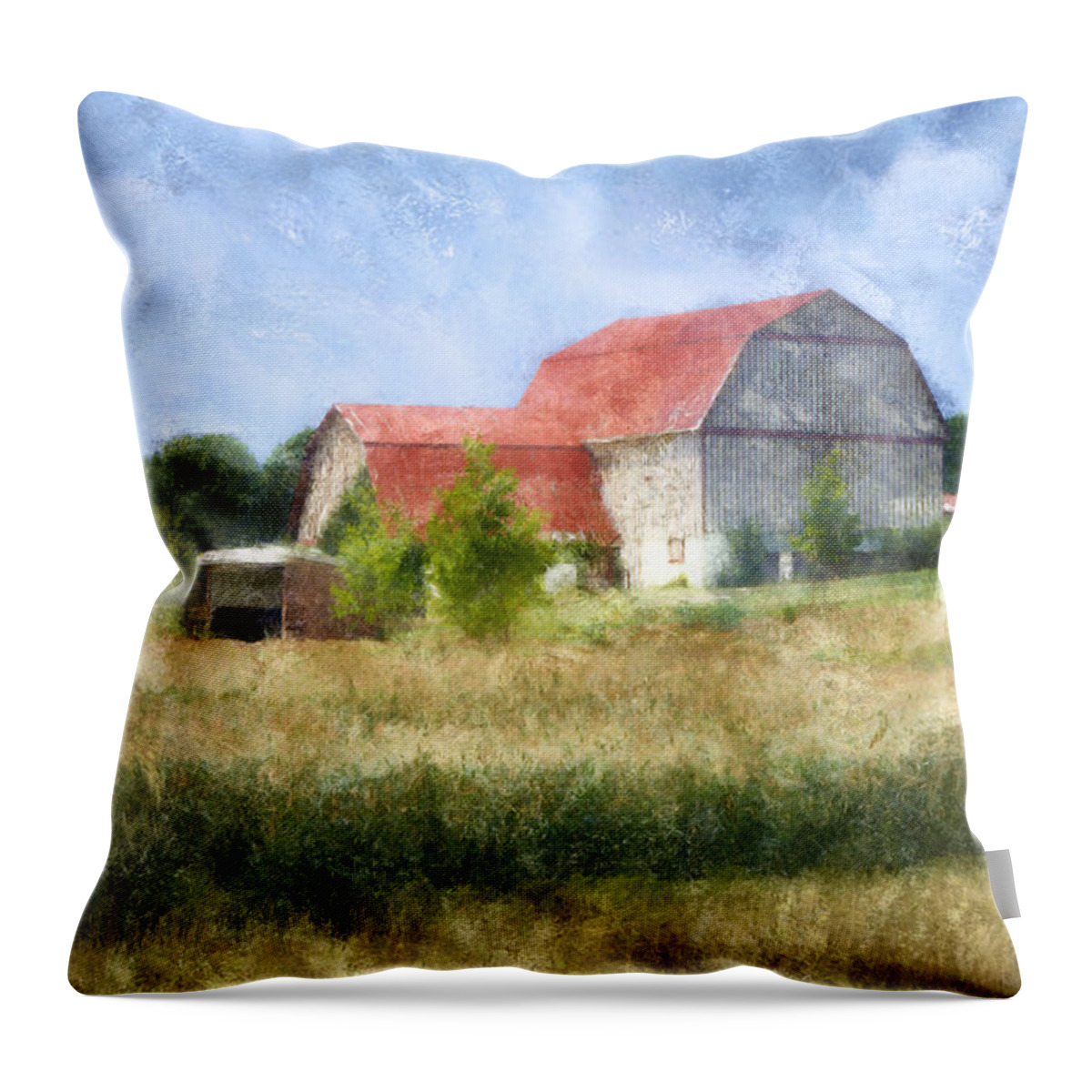 Barn Throw Pillow featuring the digital art Summer Barn by Frances Miller