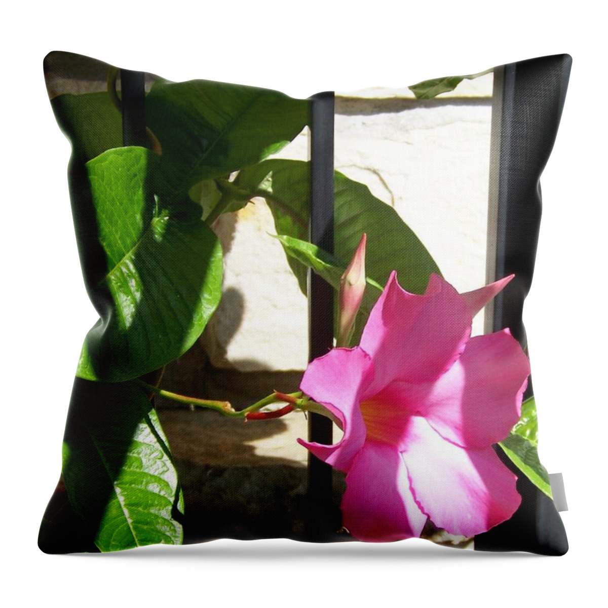 Blossom Throw Pillow featuring the photograph Summer Blossom by Jackie Mueller-Jones