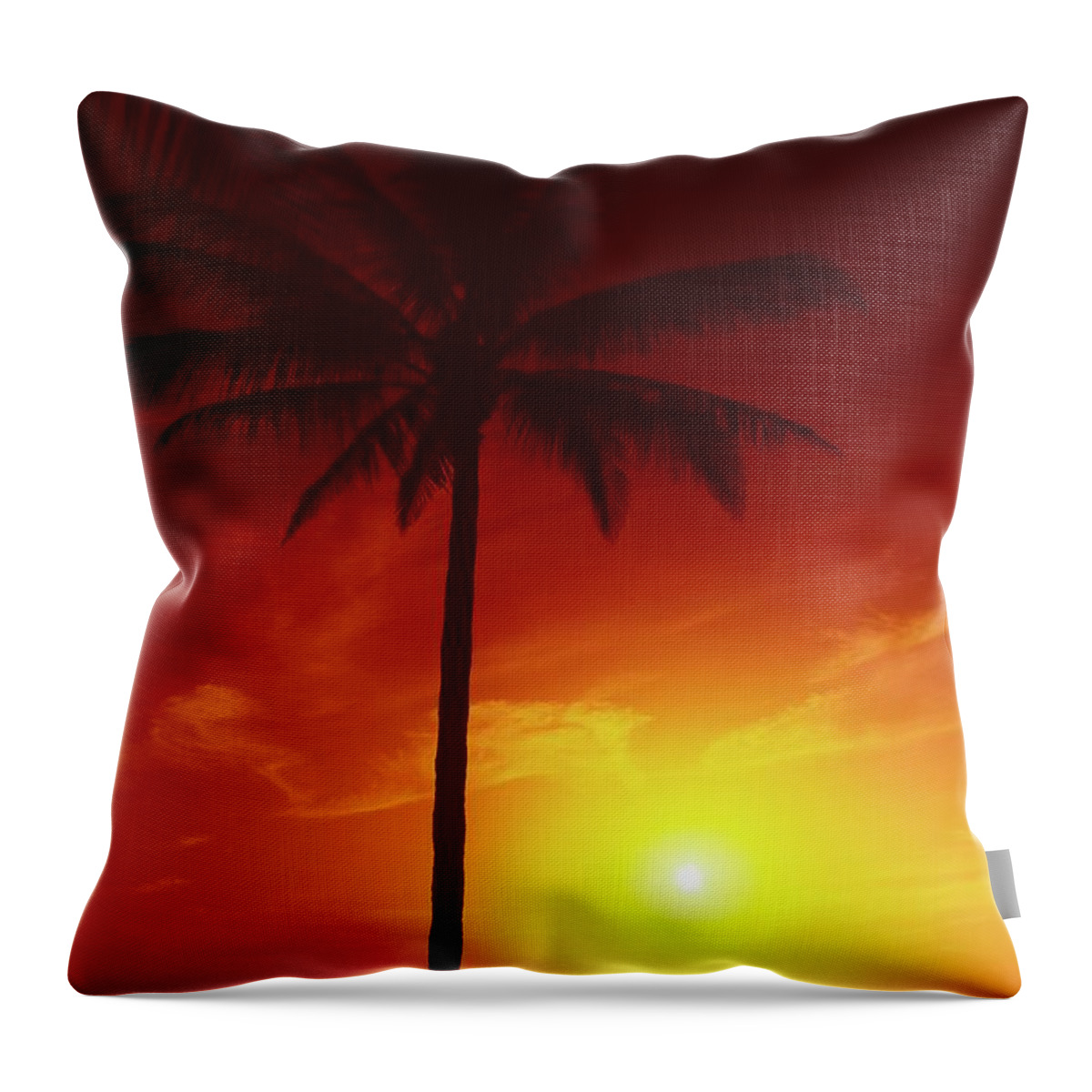 Jupiter Inlet Throw Pillow featuring the photograph Summer by The Sea by Steve DaPonte