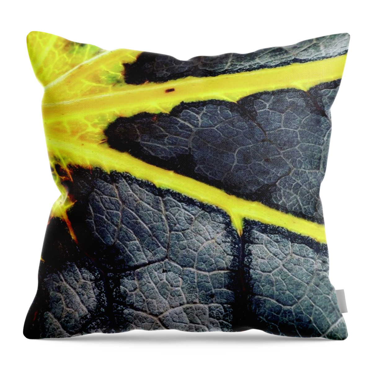 Gray Throw Pillow featuring the photograph Summer Drains Away. #autumn #autumnleaf by Ginger Oppenheimer