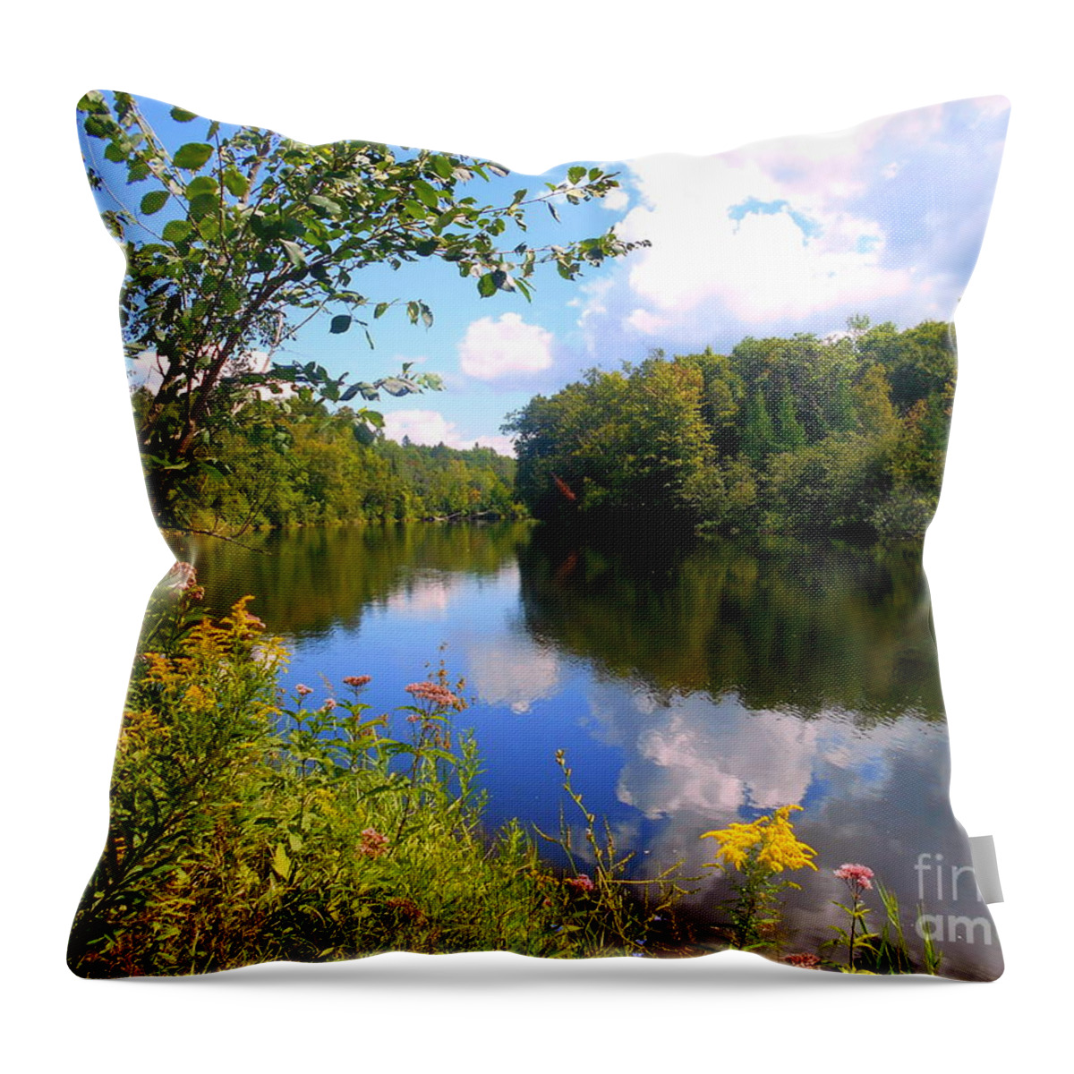 Rawdon Throw Pillow featuring the photograph Summer by Elfriede Fulda
