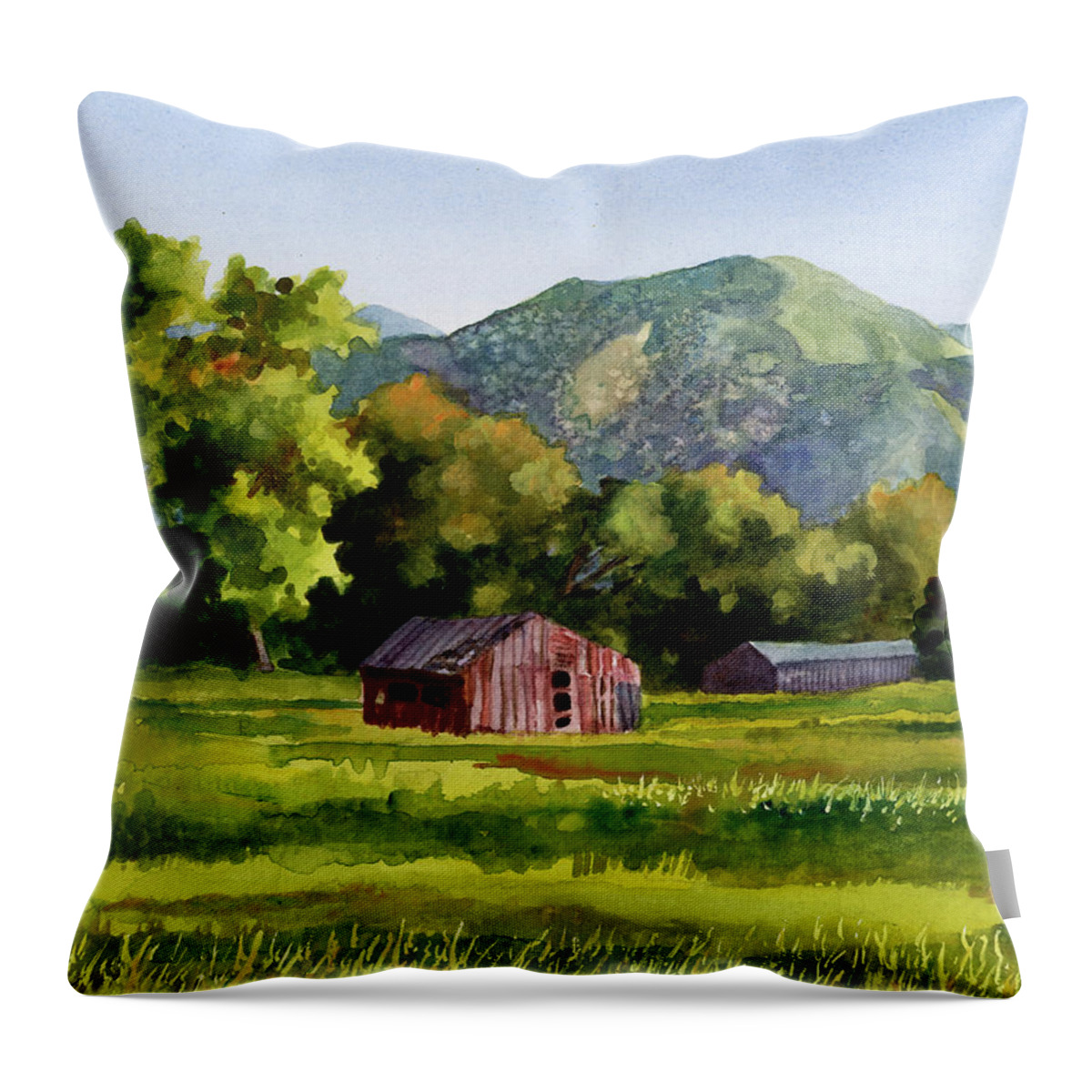 Barn Painting Throw Pillow featuring the painting Summer Evening by Anne Gifford