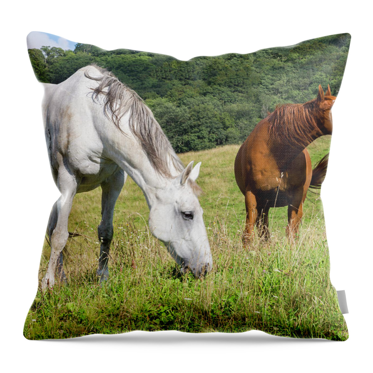 Horses Throw Pillow featuring the photograph Summer Evening For Horses by D K Wall