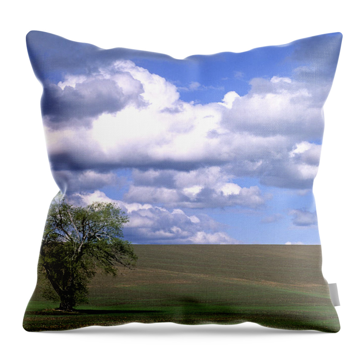Outdoors Throw Pillow featuring the photograph Summer Flack Tree by Doug Davidson